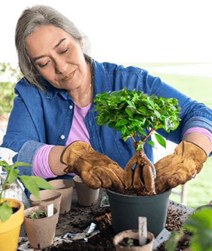 Woman potting a tree.